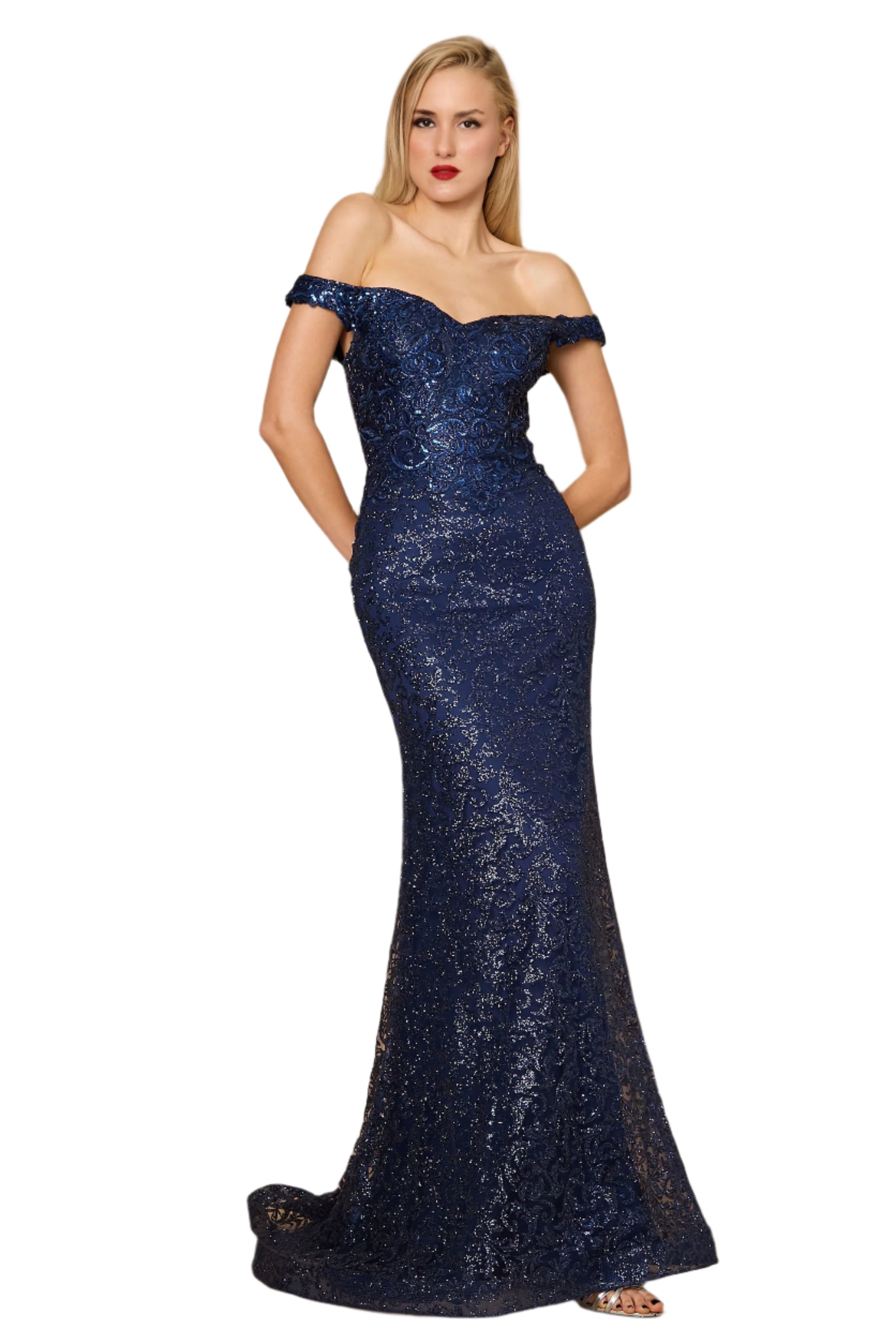 Dylan and Davids Formal Mermaid Gown Fitted Evening Dress-4